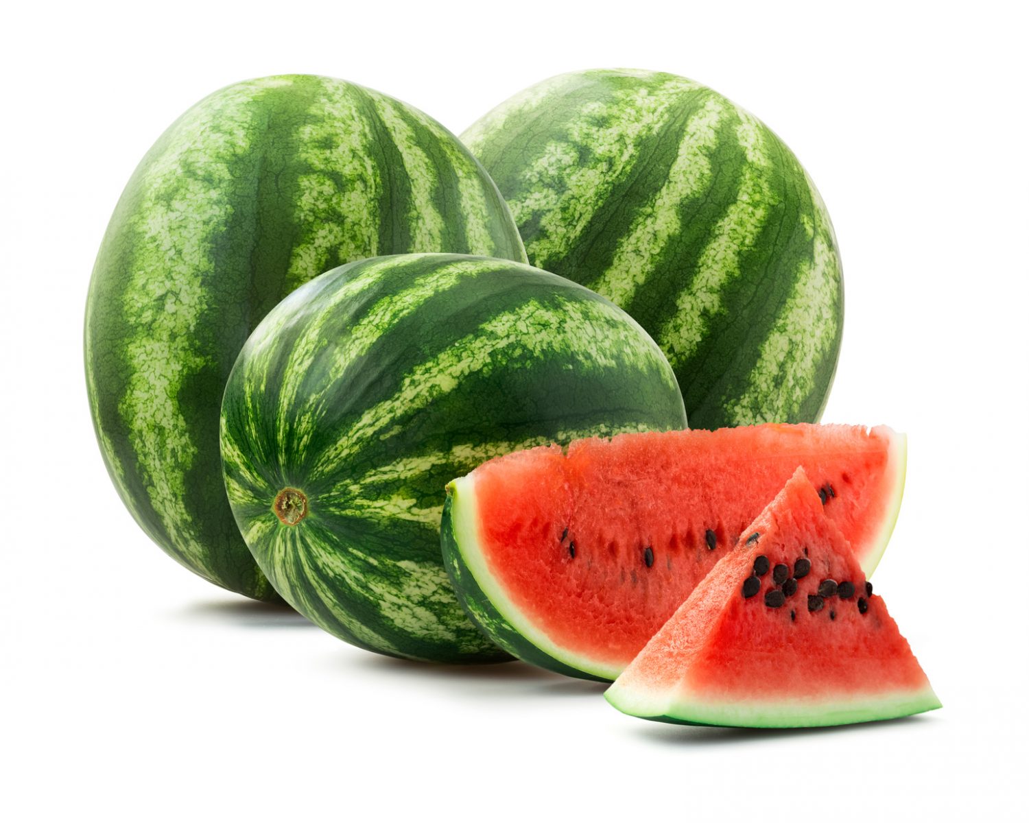 Watermelons for Water: A Refreshing Journey from Farm to Table